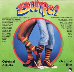 Bumper